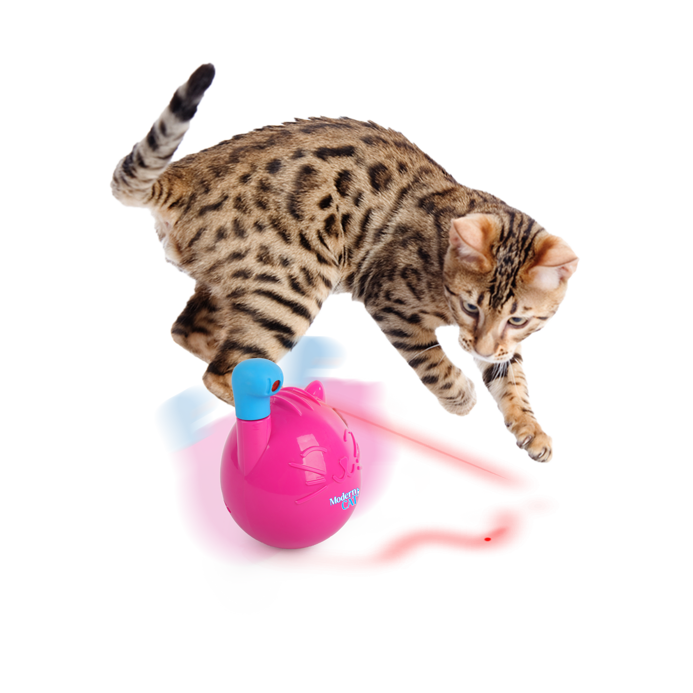 AFP Mordern Cat Wobble Laser Toy