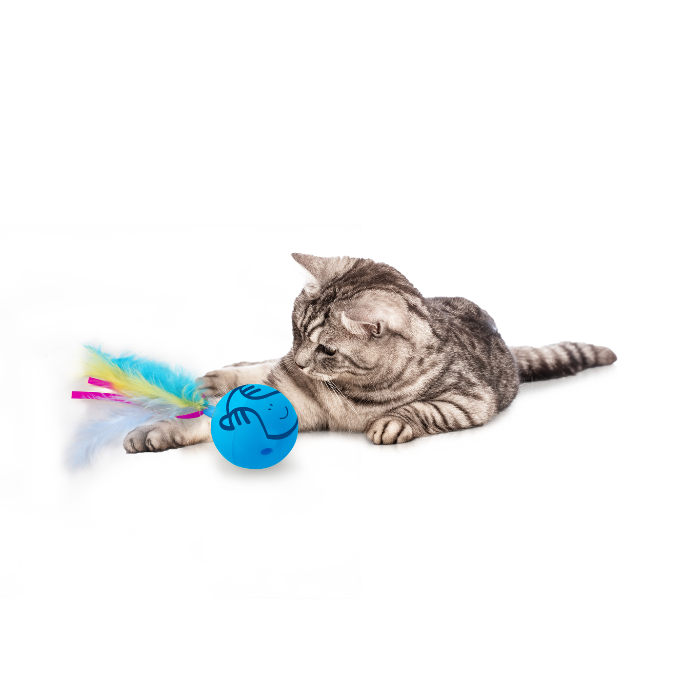 AFP Modern Cat - Dizzy Spinner - Interactive Cat Toy