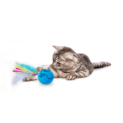 AFP Modern Cat - Dizzy Spinner - Interactive Cat Toy