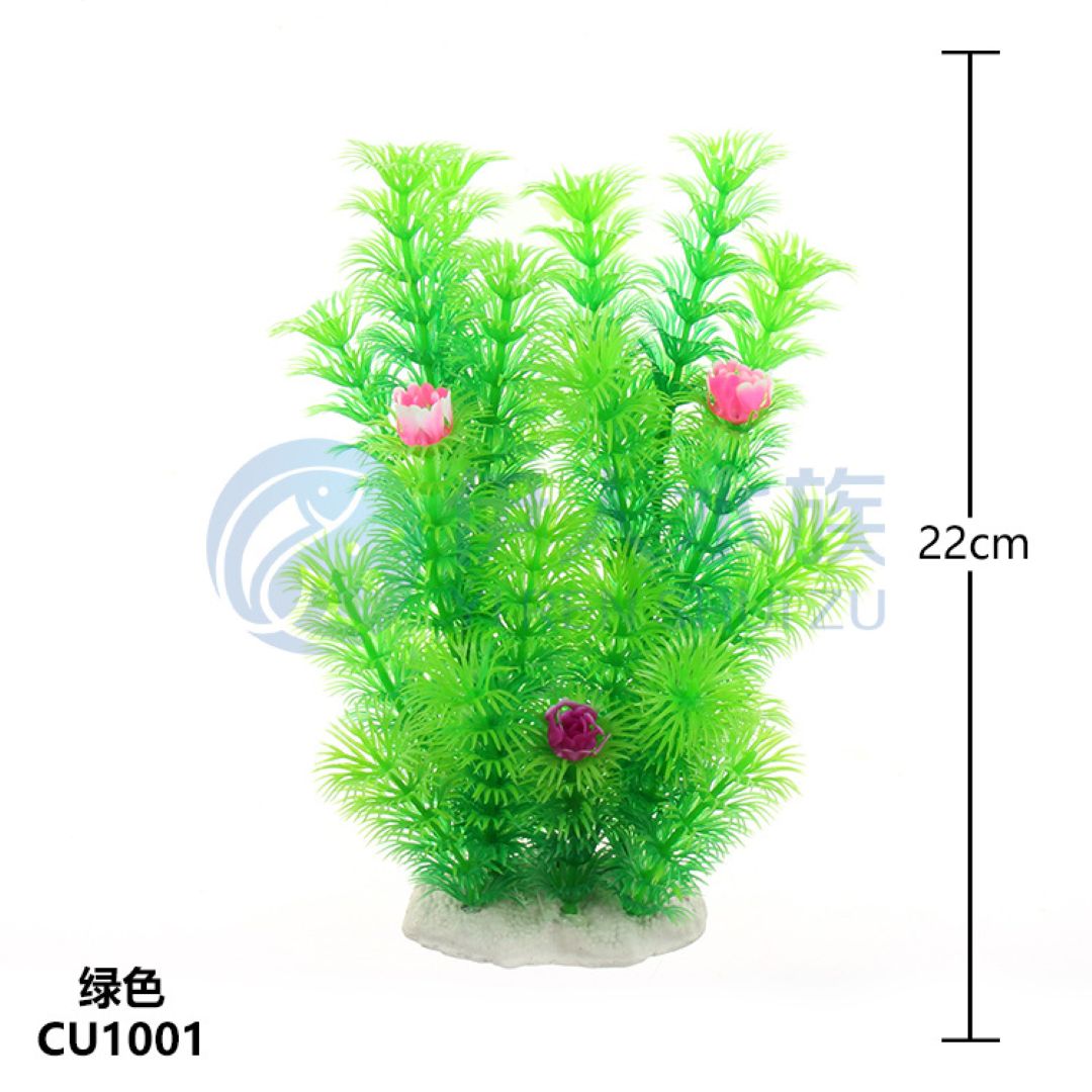 Green Aquarium Plant With Pink Accents