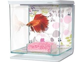 Marina Betta Kit 2L - Floral