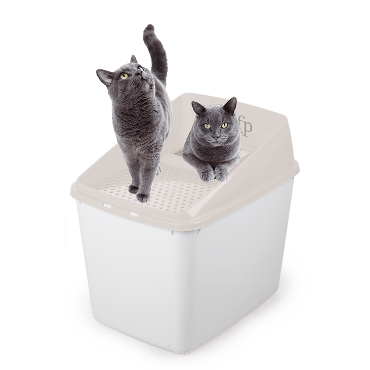 AFP  Go Fresh Sifting Litter Box