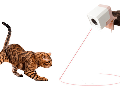 PAWISE Automatic Laser toy