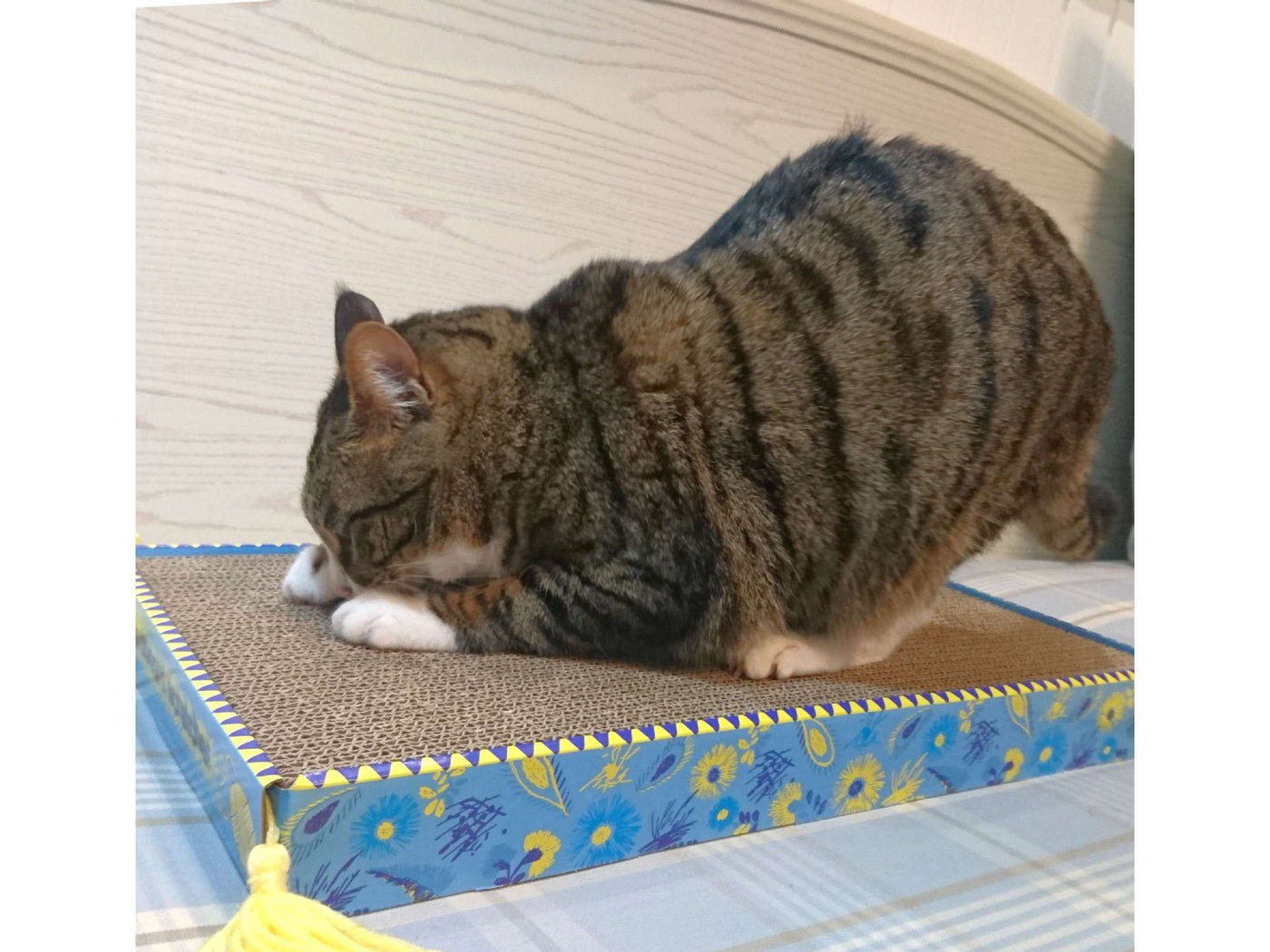 Large Cat Scratch Box Single Layer as photo