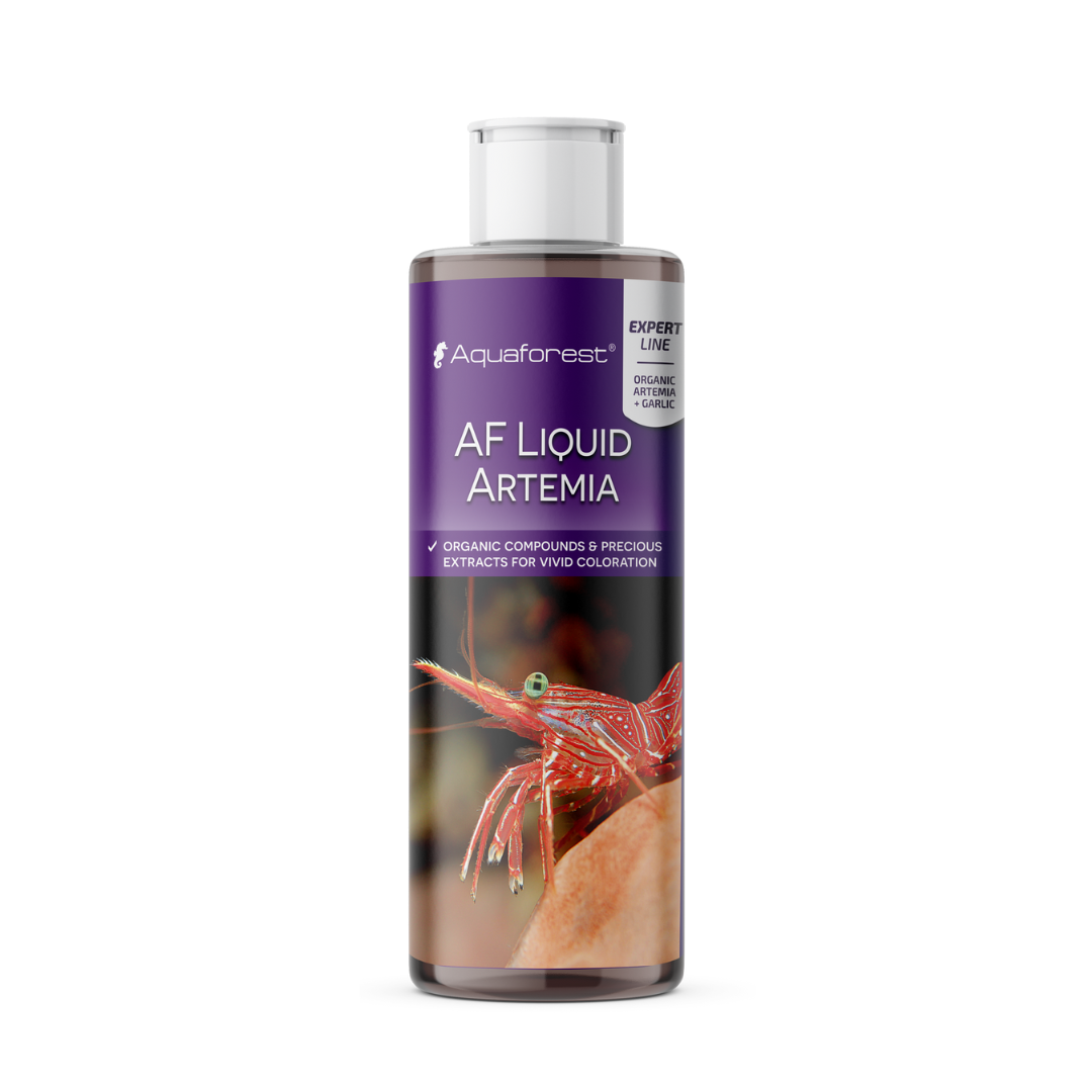 Liquid Foods Pack 4x250 ml