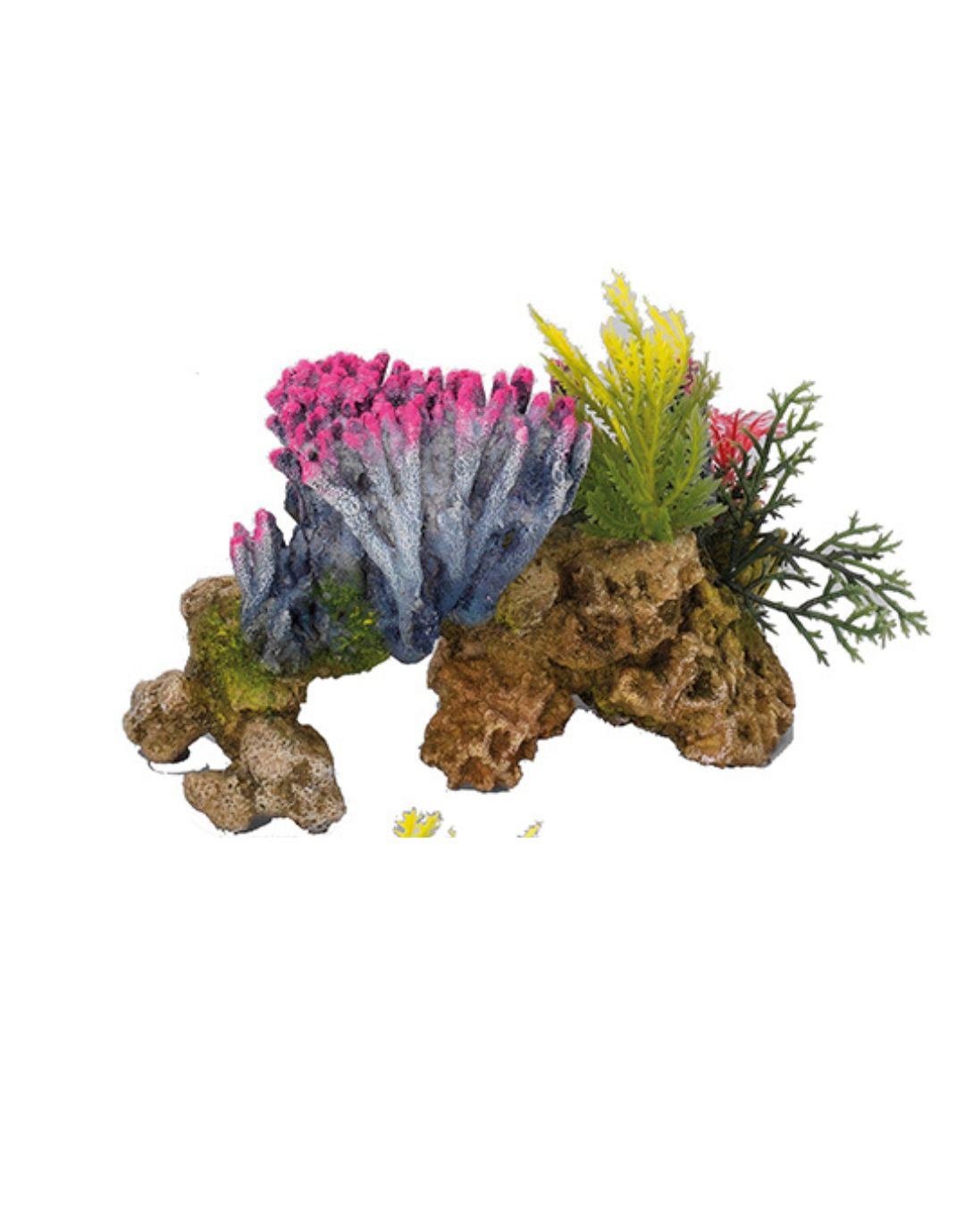 CORALSET MEDIO 15x9x11CM