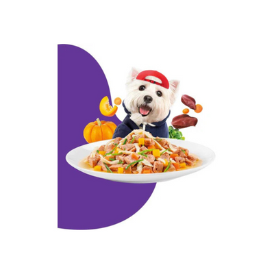 Digestive Care – Chicken Liver with Carrot, Pumpkin and Spinach 100g-Dog Food