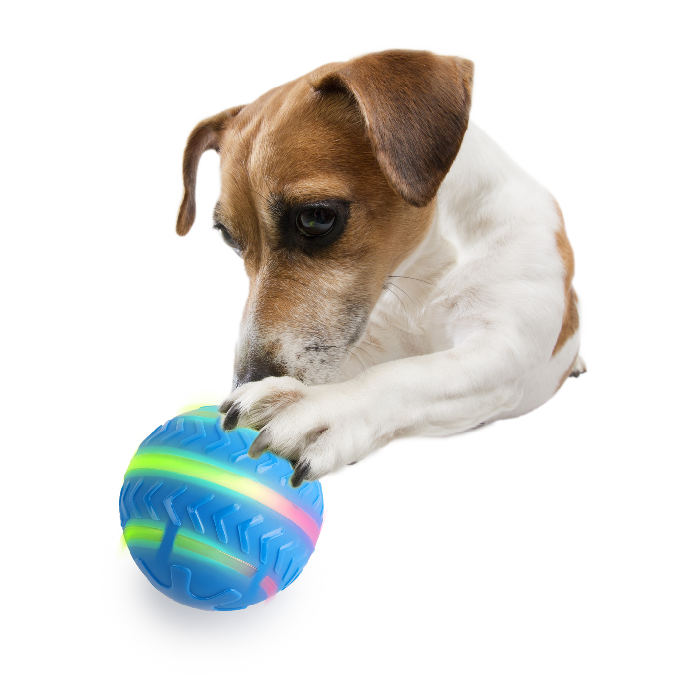 AFP Motion Activated Action Ball Dog Toy