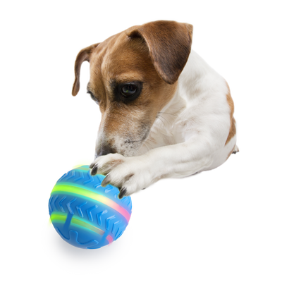 AFP Motion Activated Action Ball Dog Toy