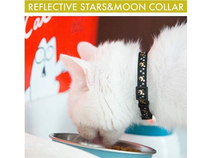 Cat Collar Star Monogram 10Mmx20-30Cm