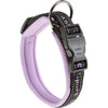 SPORT DOG C Padded Collar for Dogs