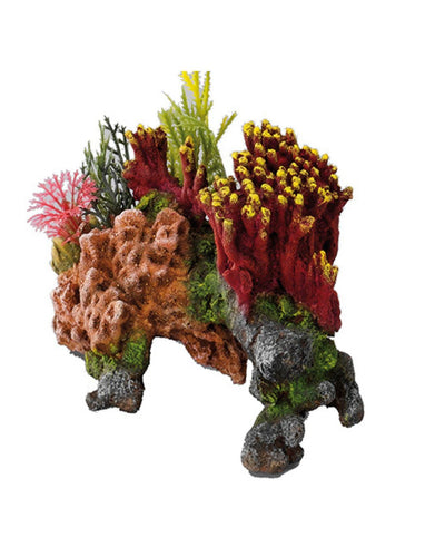 CORALSET MEDIO 15x9x11CM