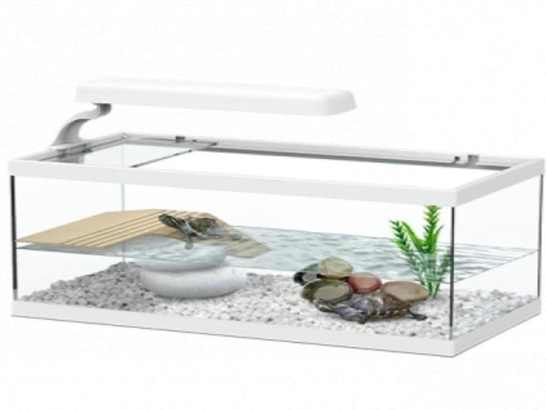 Tortum Turtle Tank 40 x 20 x 16 cm, White