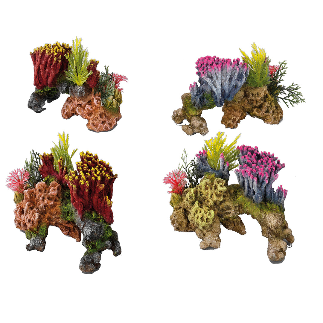 CORALSET MEDIO 15x9x11CM