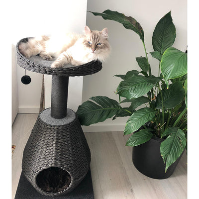 Trend Tree Elegance Sublime Scratching Tree – 89cm Modern Cat Tower (Black, 45x45cm)