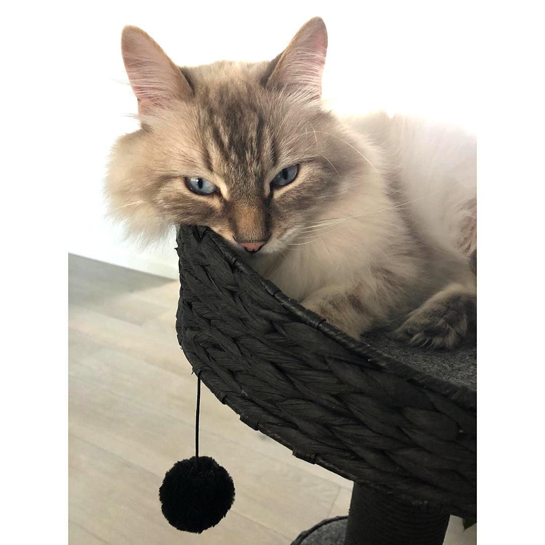 Trend Tree Elegance Sublime Scratching Tree – 89cm Modern Cat Tower (Black, 45x45cm)