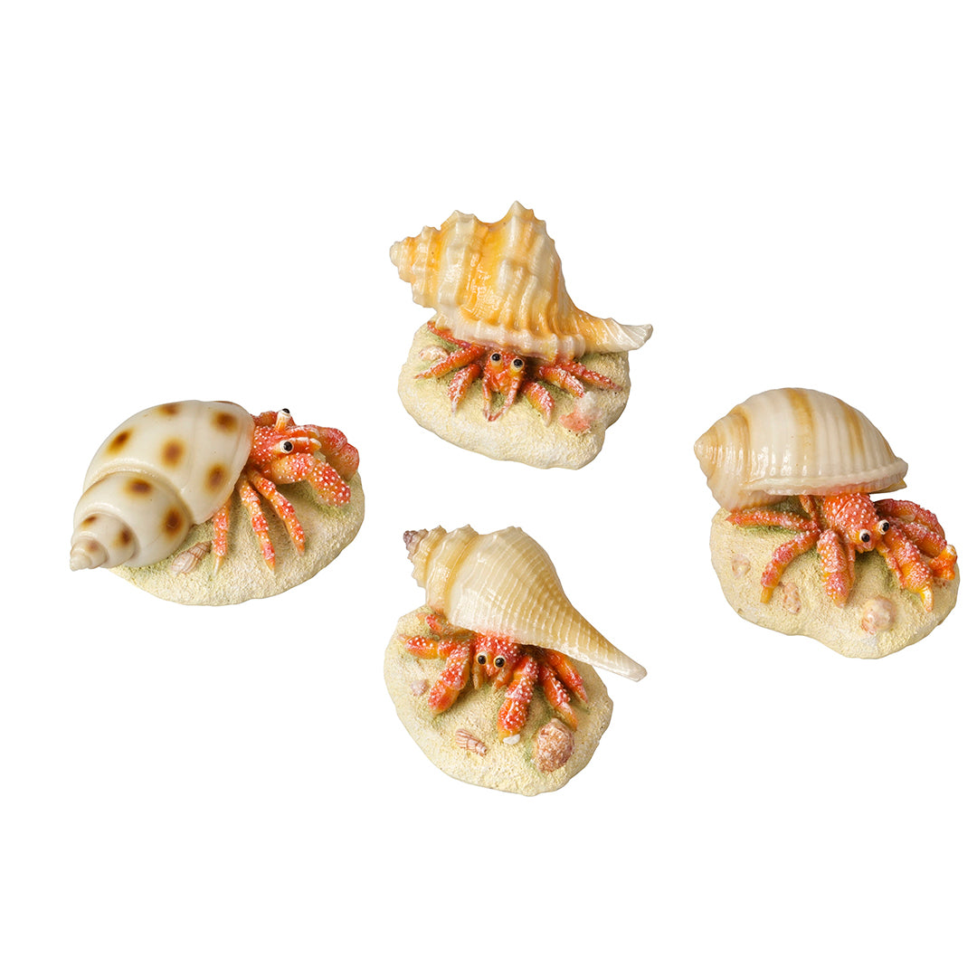 HERMIT CRAB 9,3x6x4,9CM