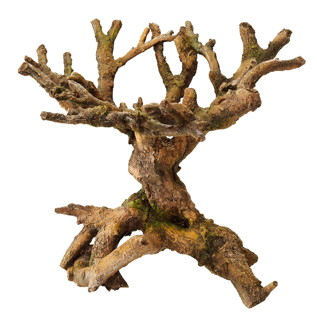 BONSAI 22x19x20,5CM brown