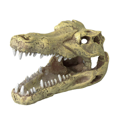 CROCODILE HEAD L - 32,5x17x20,5CM
