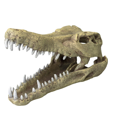 CROCODILE HEAD L - 32,5x17x20,5CM