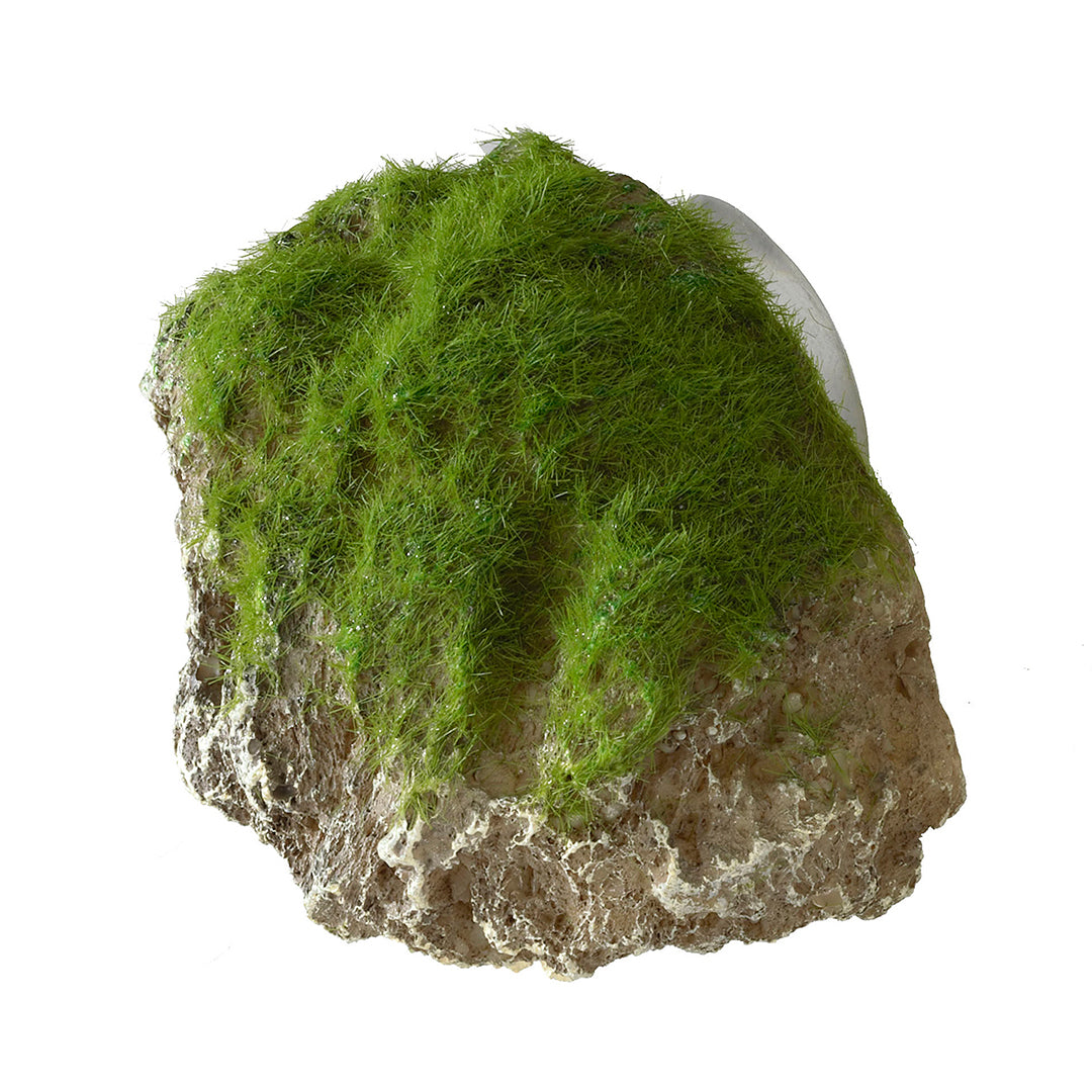 MOSS STONE WITH SUCTION CUP L - 17x11x13,5CM
