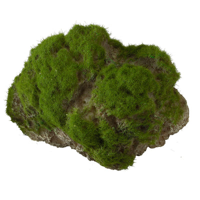 MOSS STONE WITH SUCTION CUP L - 17x11x13,5CM