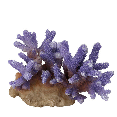 CORAAL ACROPORA 15,5x12x10CM purple