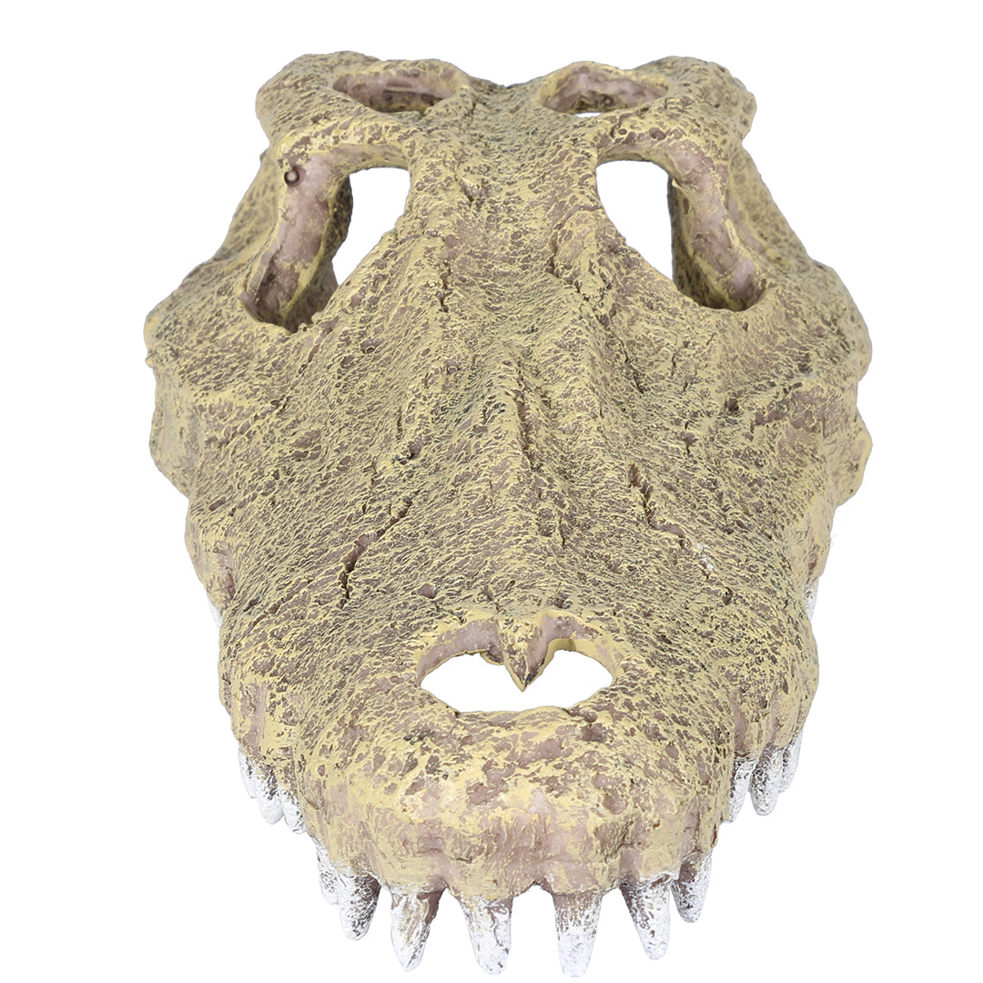 ALIGATOR 28,5x14,5x8CM