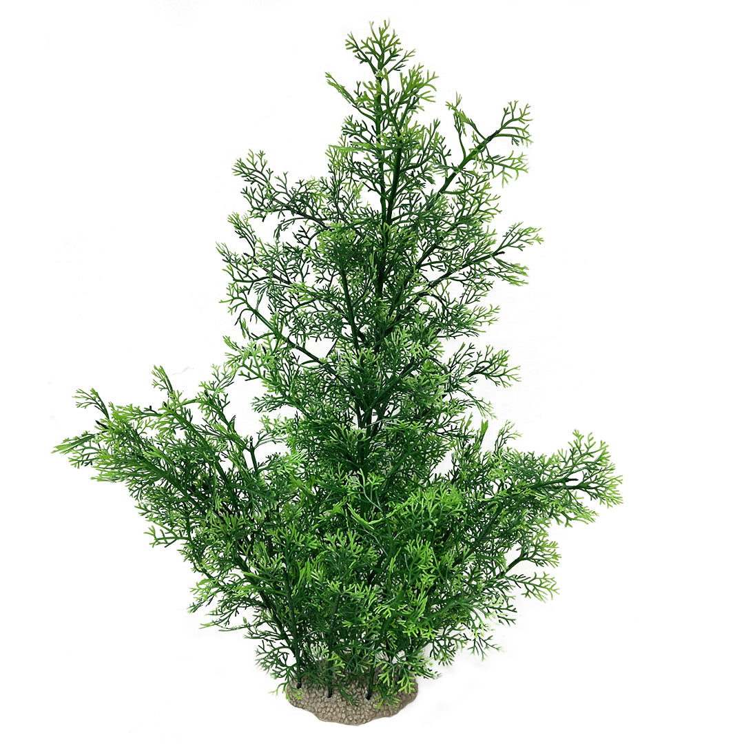 Phoenix XL - 56cm green
