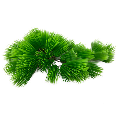 Eleocharis 22cm green