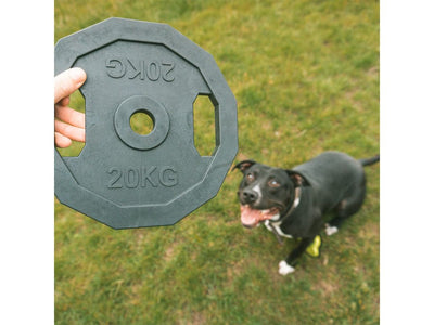 For The Gainz - barbell dog toy 22,8x22,8x1,7cm black