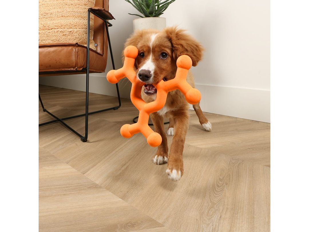 Dawg Science - Dog Toy