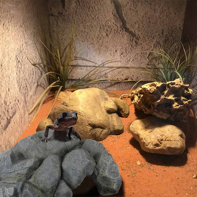 Reptile cave L - 29x25x11,5cm anthracite