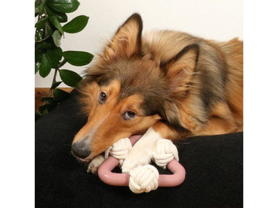 Milou Rosewood dog toy 17x18.5x6.5cm pink