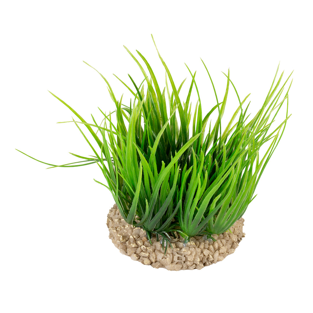 Helanthium 8,5x8,5x10cm green