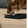 LEX Studded Silicone Lick Mat for Cats