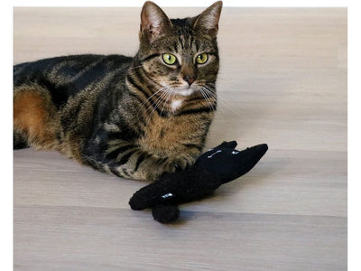 ZENO - وسادة ركل القطط قابلة لإعادة الملء مقاس 12x4x18 سم باللون الأسود