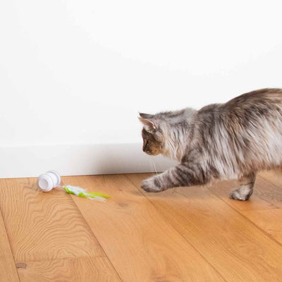 Electronic cat toy