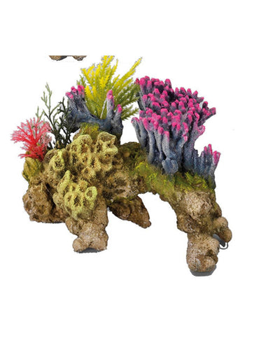 CORALSET MEDIO 15x9x11CM