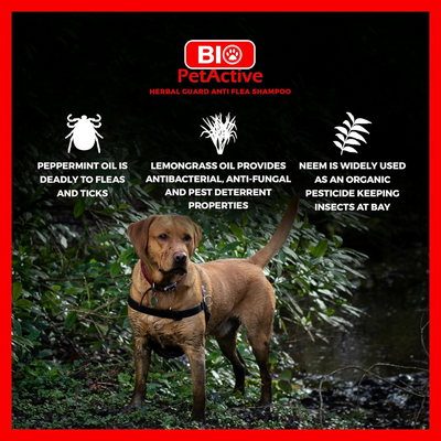 Herbal Guard Shampoo (For Dogs) 250 ml