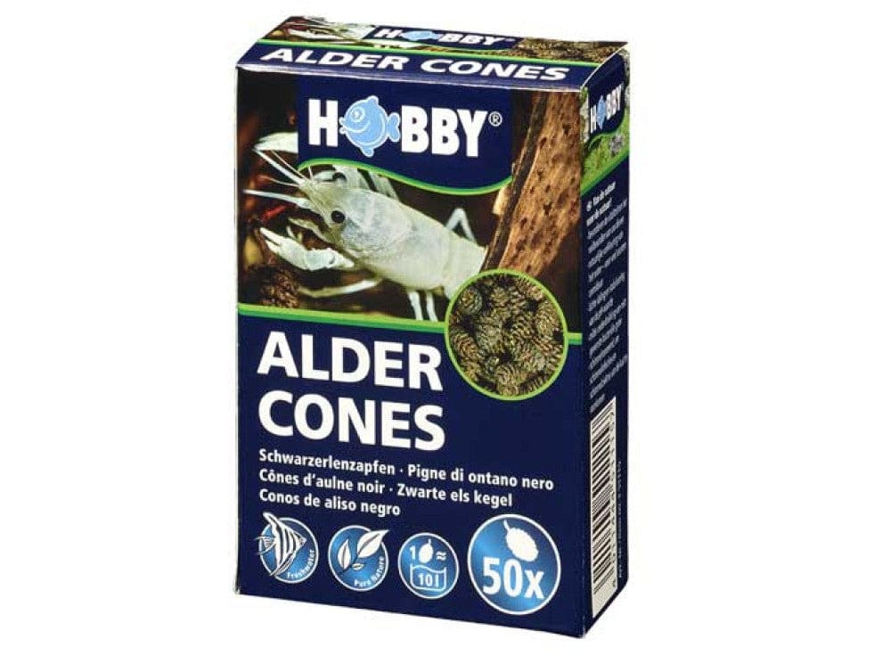 Alder Cones (50 pcs)