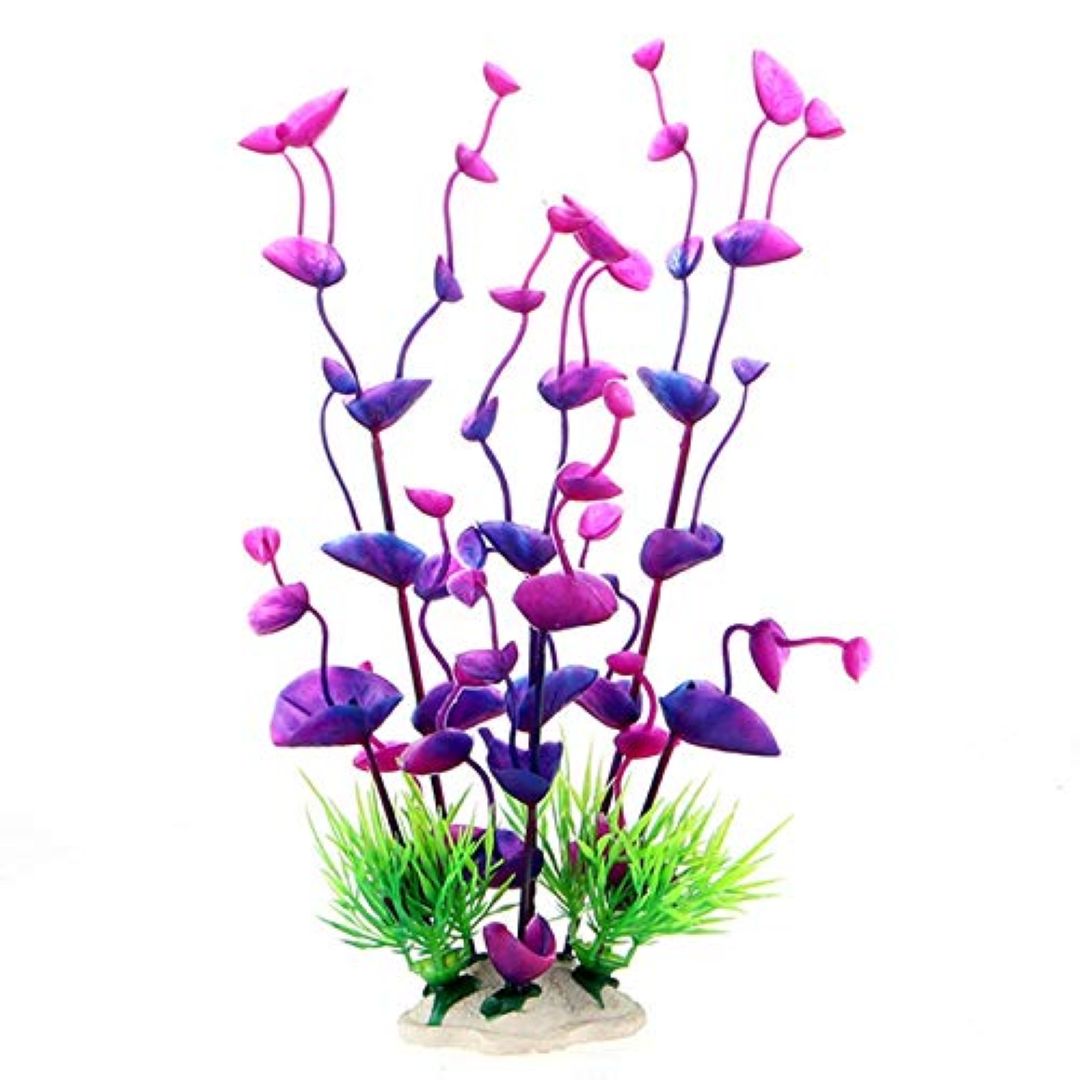 Purple & Green Round Leaf Aquarium Plant 24 cm