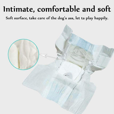 Premium Diapers 10`S M