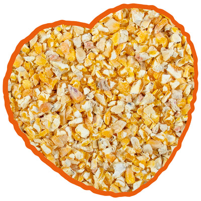 Premium Crushed French Corn – Ultra-Clean Single Ingredient Feed for Poultry &; Pigeons