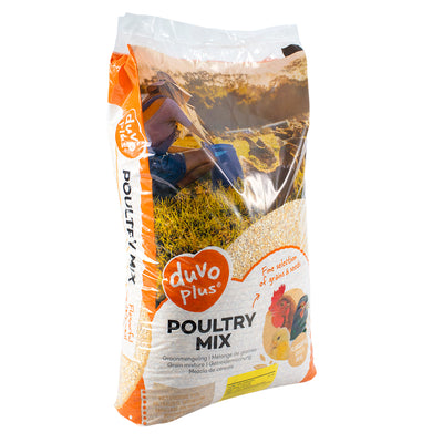 Premium Crushed French Corn – Ultra-Clean Single Ingredient Feed for Poultry &; Pigeons