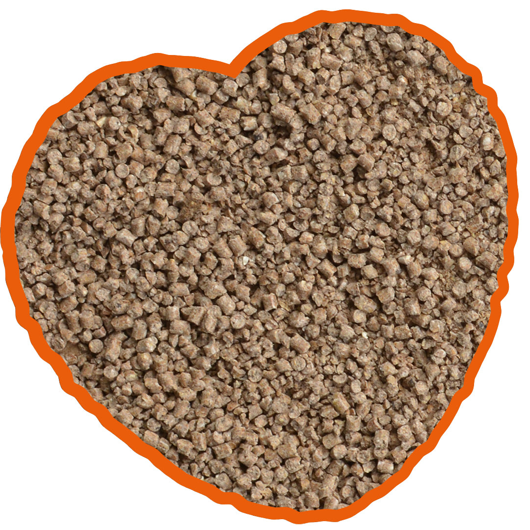 Chick crumbs 20kg