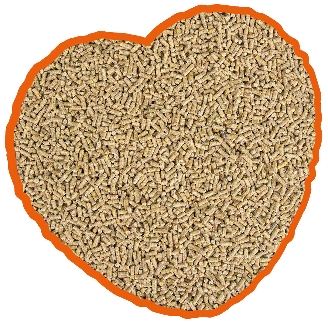 Duvoplus Waterfowl Pellets 20kg – Nutritious Maintenance Feed for Water Birds