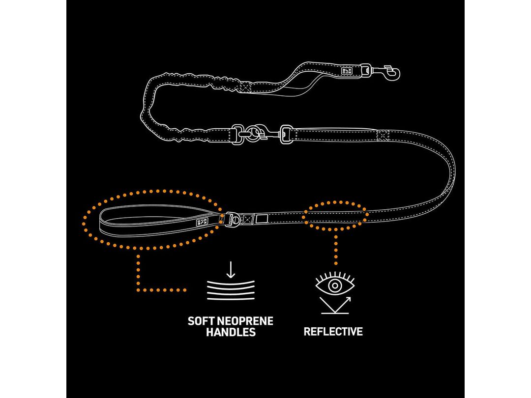 EXPLOR Ultimate Fit 2in1 Leash with Anti-Shock Section