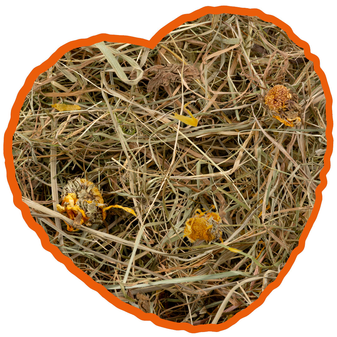 Herbal Hay Dandelion 1kg