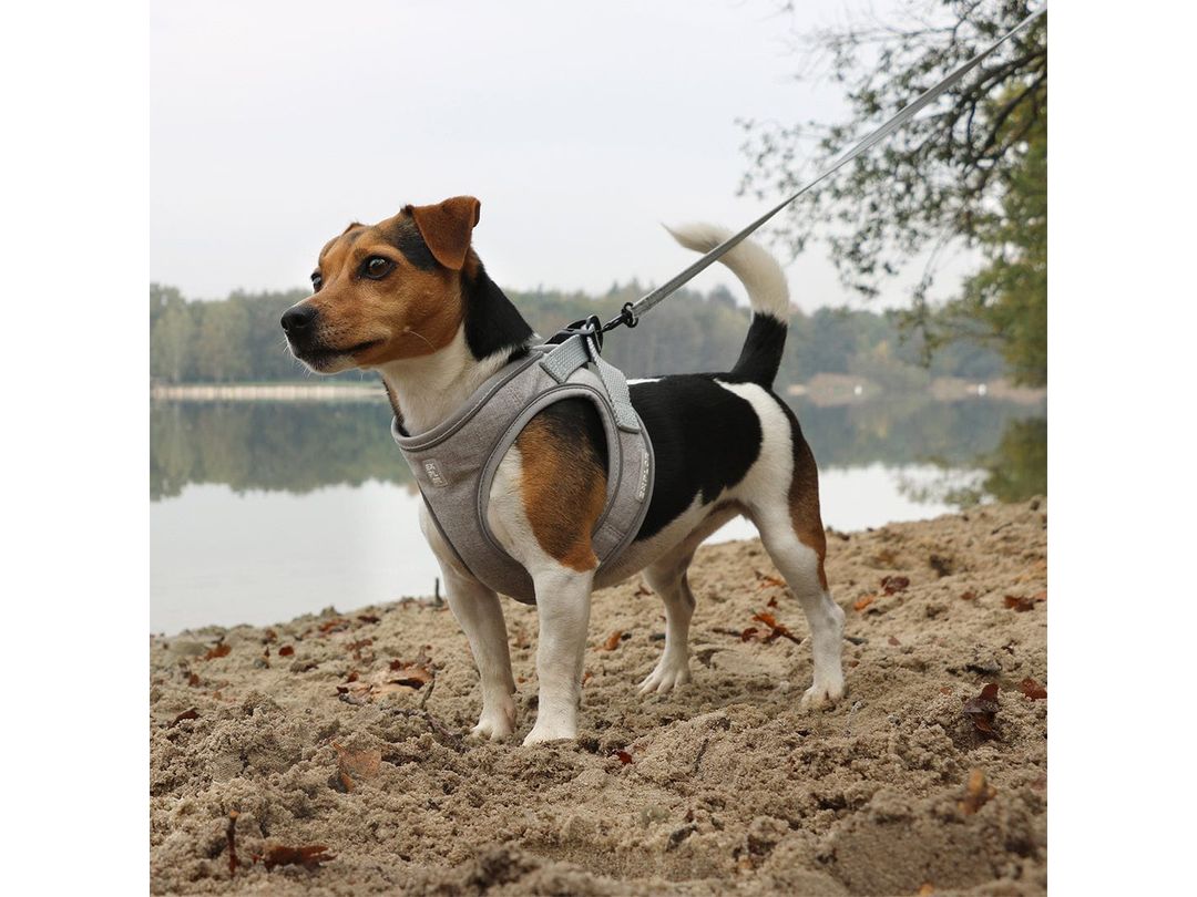 Ultimate Fit Small Dog Harness
